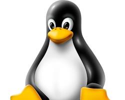 linux -software development